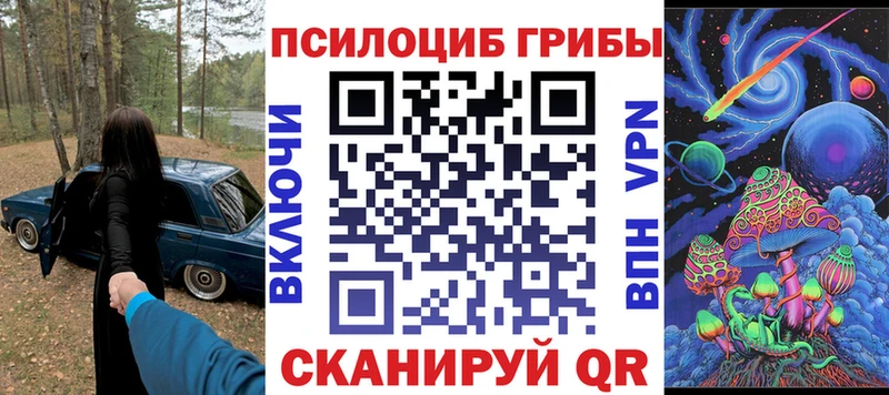 Псилоцибиновые грибы Cubensis  где купить   Калининград 